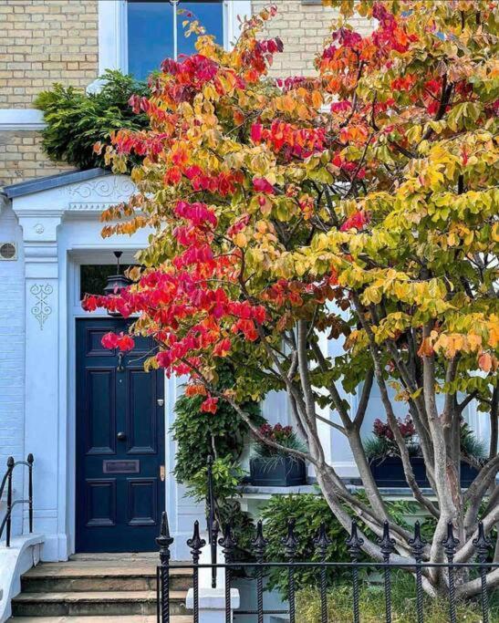 Chelsea Posh Apartment لندن المظهر الخارجي الصورة